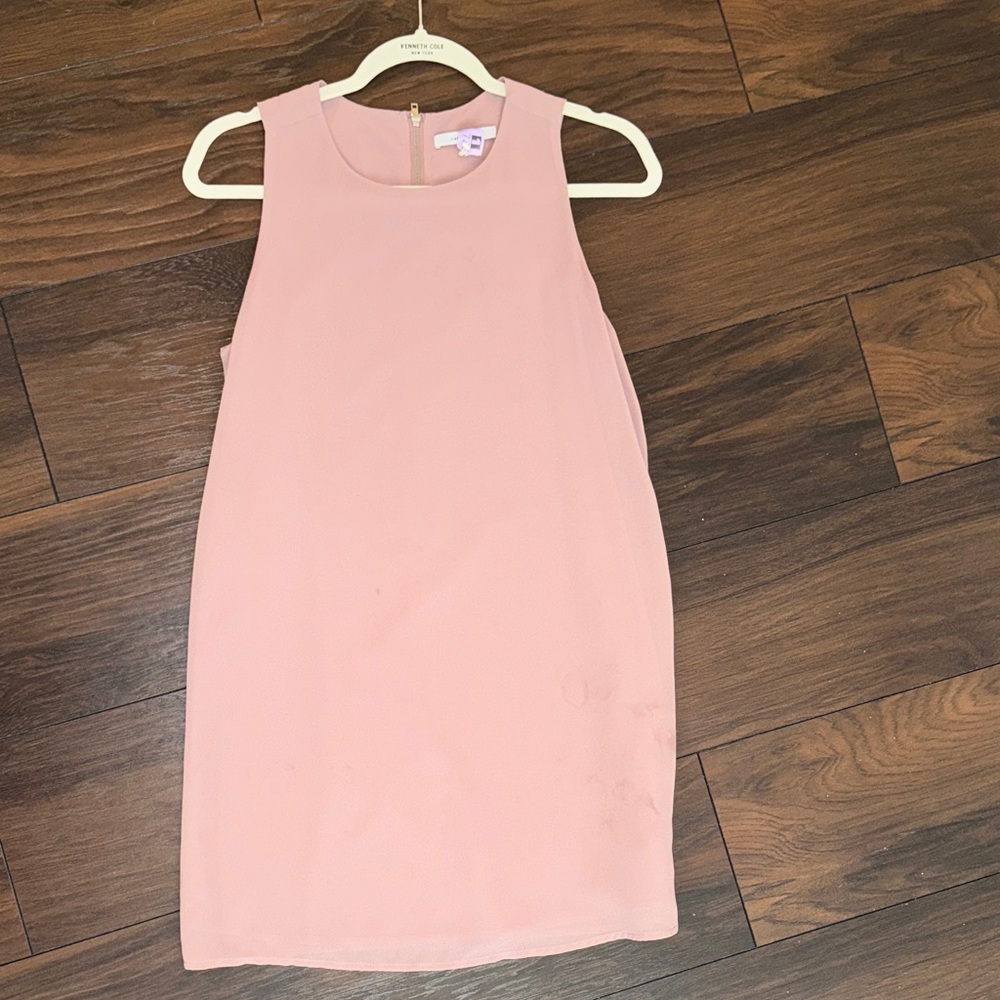 Naked Zebra Blush Pink Sleeveless Dress